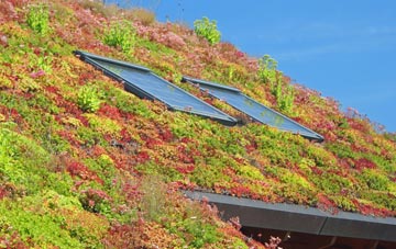 Keenthorne living roof systems