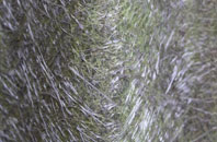 Keenthorne fibreglass roof work